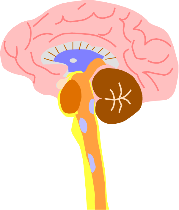 Upload Society or Association Logo